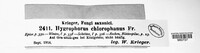 Image of Hygrocybe chlorophana